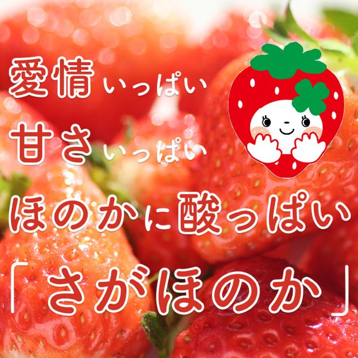 佐賀県産さがほのか いちごフロマージュ 6個入りギフトBOX 2箱セット