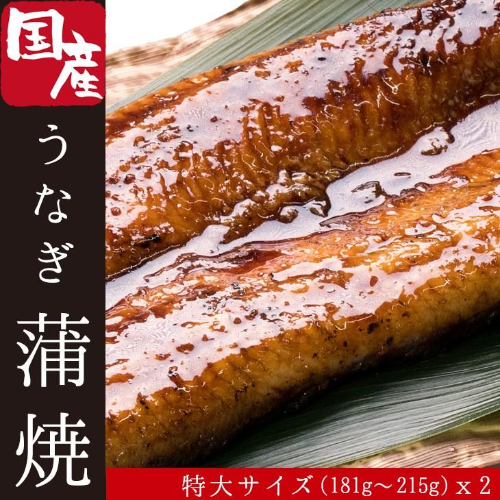 宮崎県 国産うなぎ 蒲焼 特大サイズ 181 215g 2尾セット 九州のおいしいウナギ 鰻乃まるなか お取り寄せ グルメ ギフト うな丼 うな重 家飯 御祝 礼 送料無料 N Kaxl 02 産直マルシェ 通販 Yahoo ショッピング