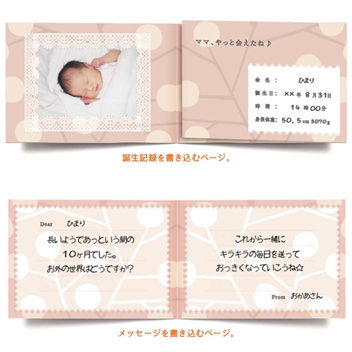 世界に1つのアルバム絵本 10ツキ10カものがたり 妊娠から出産までの十