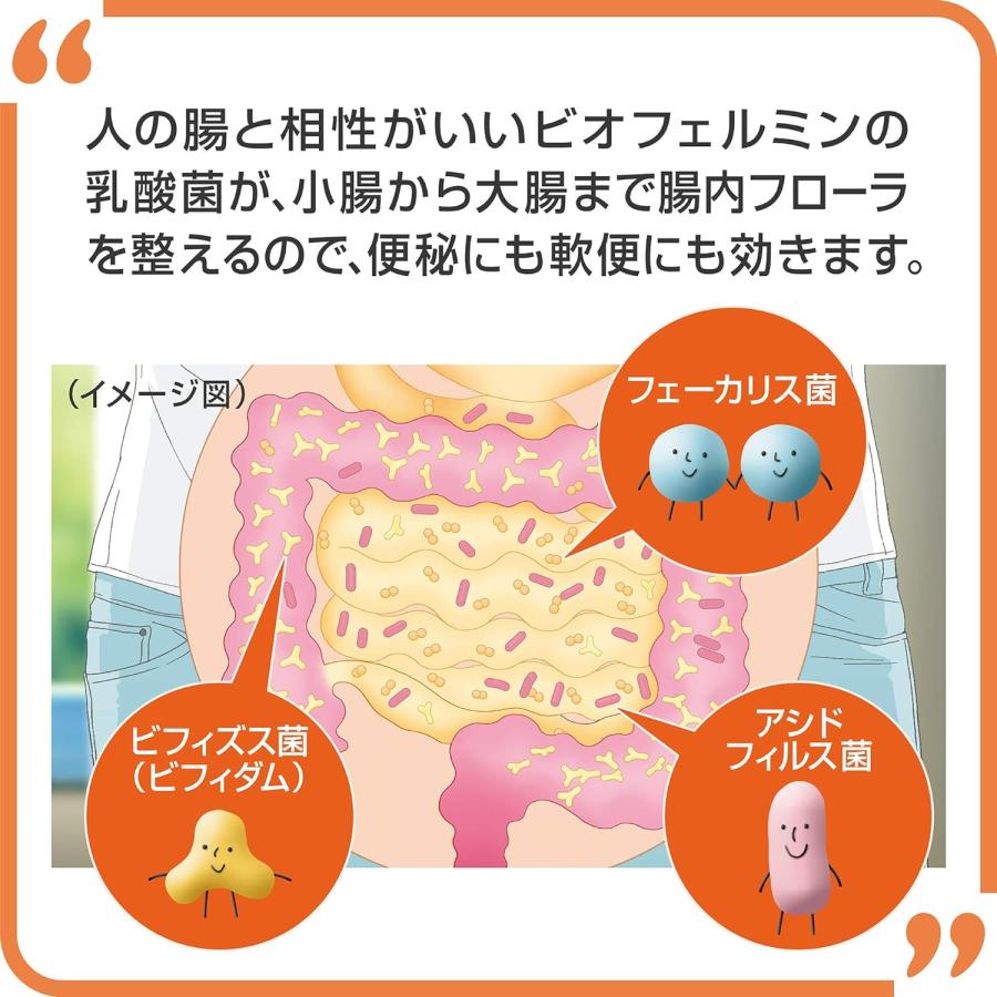 新ビオフェルミンS錠 540錠 大正製薬 | 指定医薬部外品 整腸剤 乳酸菌 ビフィズス菌 配合 腸内フローラ改善 便秘や軟便に ...