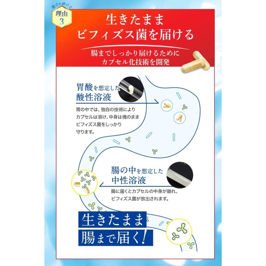 森永乳業 森永ビヒダス 大腸のキホン 1袋(約30日分) 60カプセル 便通