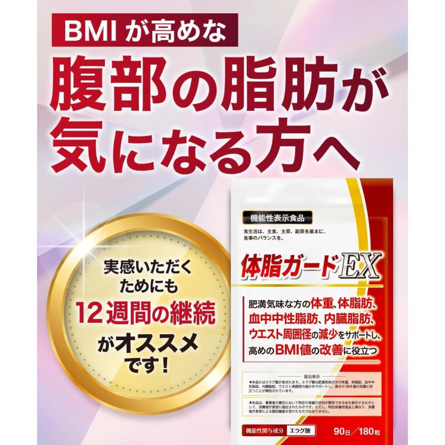 体脂ガードEX 180粒 90日分 機能性表示食品 | 体重 肥満 体脂肪