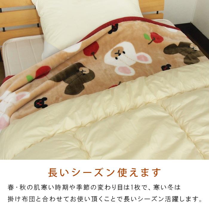 丸眞 毛布 くまのがっこう ハーフサイズ 100×140cm ハーフケット