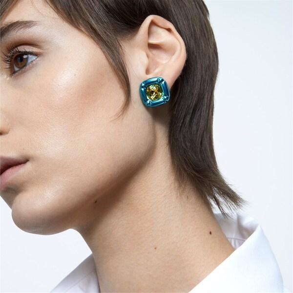 スワロフスキー レディース ピアス・イヤリング アクセサリー 