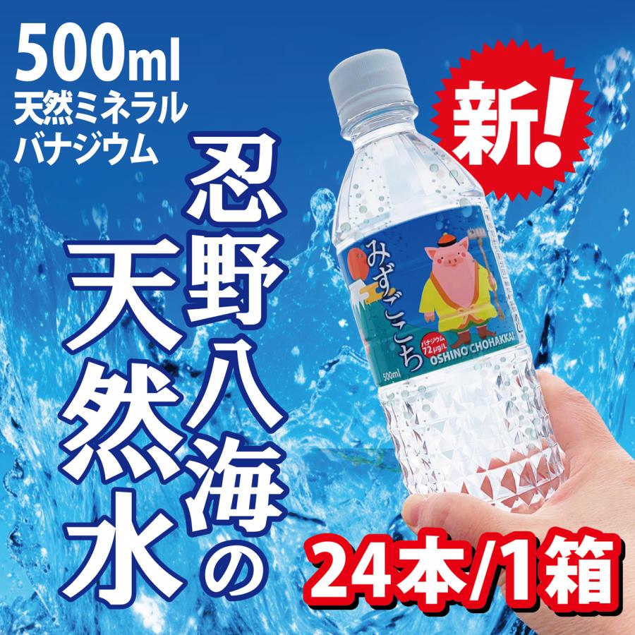 24本セット】ワケあり・格安・富士山麓 天然水 シリカ水 バナジウム水