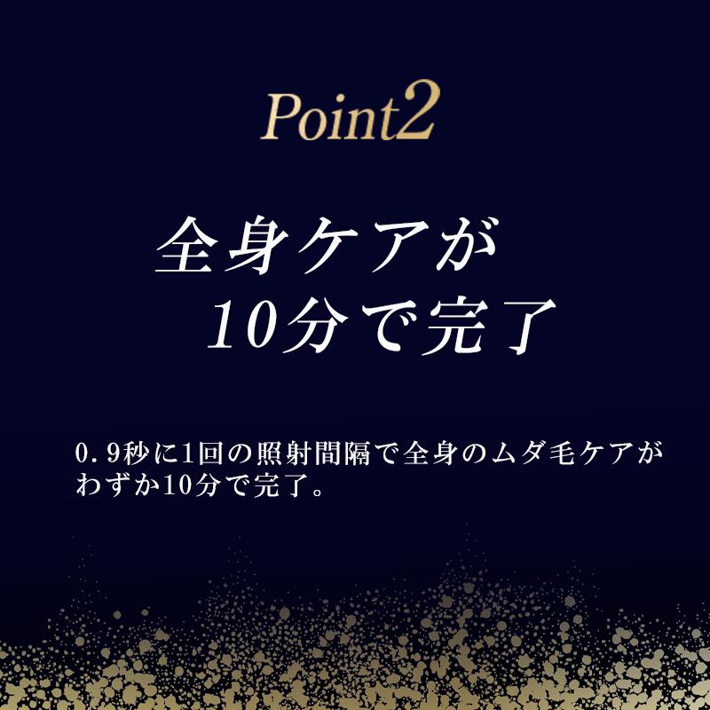 Notime メタルダンディ アイスダンディ 刺青 脱毛器 notime Notime メタルダンディ アイスダンディ 刺青 脱毛器 notime