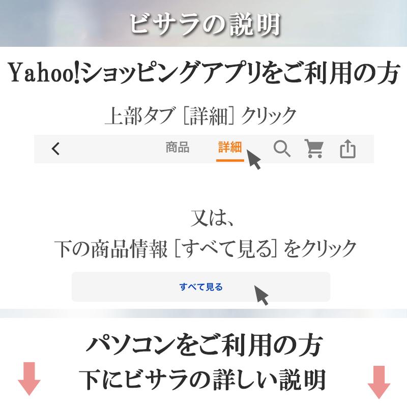 爆売り ドライヤー 速乾 大風量 ハンズフリードライヤー BISARA with