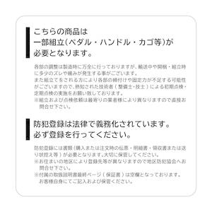 【直送 代引き不可】E-PARTON 三輪自転車 ロータイプ 電動アシスト機能 マットブリックレッド BEPN18 イーパートン シティーサイクル_3