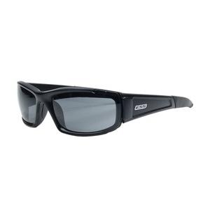 ESS サングラス CDI ブラック スモークグレーレンズ 740-0296