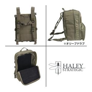 HALEY STRATEGIC フラットパック PLUS ベルクロインテリア [ ブラック