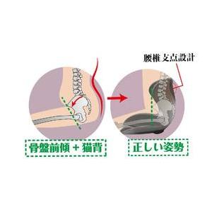 【直送 代引き不可】TRADE ONE セシルシェイプ 6008 骨盤サポートチェア [ レッド ] トレードワン 椅子 イス｜revolutjp｜05