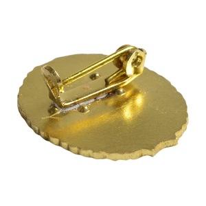 ドイツ軍放出品 ピンバッジ NVA 東ドイツ 空軍 military 記章 DDR 国家