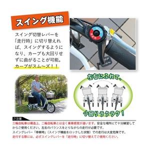 【直送 代引き不可】 SWING CHARLIE 三輪自転車 L ロータイプ MG-TRE16L スイングチャーリー シティーサイクルの画像