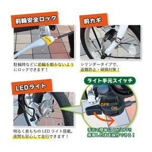 【直送 代引き不可】 SWING CHARLIE 三輪自転車 L ロータイプ MG-TRE16L スイングチャーリー シティーサイクルの画像