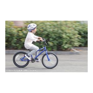 【直送 代引き不可】 OTOMO キッズBMX  ALTAGE AKB-005 16インチ レッド 46681 オオトモ AKB-004の画像