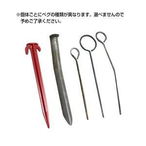 オランダ軍放出品 テントセット コットン製 3Cデザート迷彩柄 NL