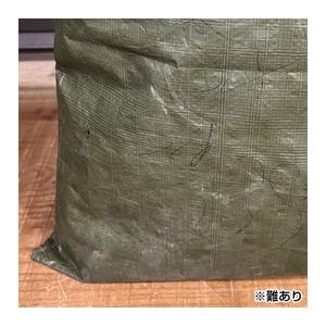 ドイツ軍放出品 防水バッグ OD [ 可 ] DE ナイロンバッグ オリーブ