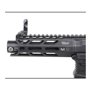 G&G ARMAMENT 電動ガン ARP556 3.0 電子トリガー/イフリートモーター