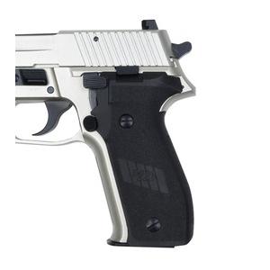 TANAKA WORKS 発火式モデルガン SIG P226 Railed Frame Evolution.2 オールヘビーウエイト Warm Silver Coatingの画像