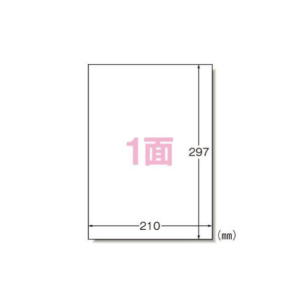 まとめ） エーワン ラベルシール〈インクジェット〉 光沢紙（A4判