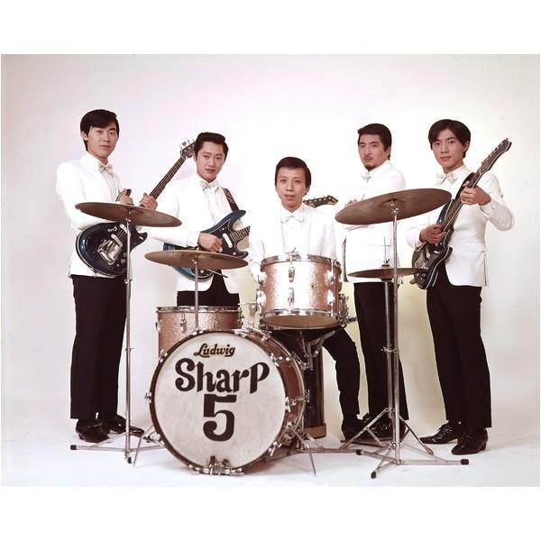 青春のエレキ・パーティー THE GOLDEN AGE OF JAPANESE ELECTRIC GUITAR 〔CD5枚 125曲〕 解説ブックレット カートンボックス 青春のエレキ パーティー THE GOLDEN AGE OF JAPANESE ELECTRIC GUITAR 解説ブックレット カートンボックス CD