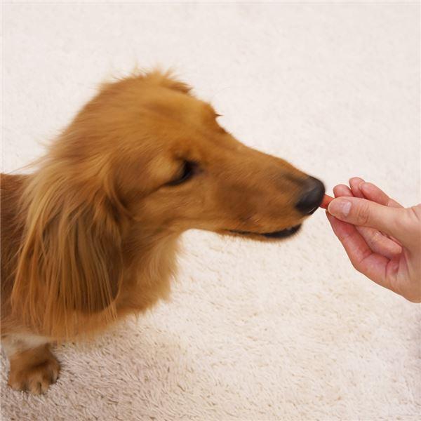 第1位獲得 ドギーマンヘルシーソフト ビール酵母入ササミ ウィンナータイプ 4g 24セット 代引不可 Puddlesandsun Co Uk