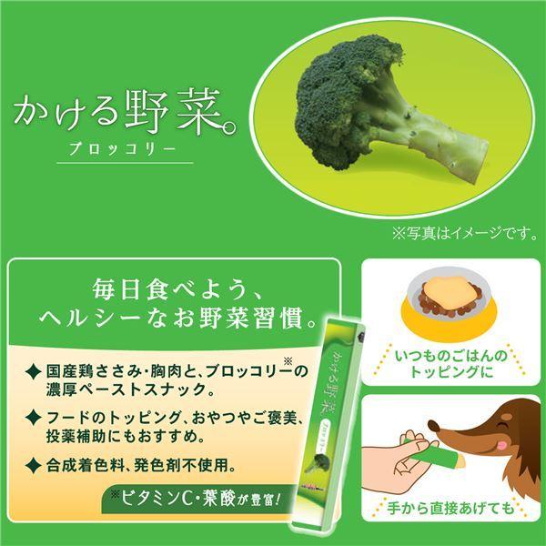 まとめ かける野菜 ブロッコリー 14g 4本 ペット用品 犬用フード 12セット Ds りぼるばー67 Yahoo 店 通販 Yahoo ショッピング