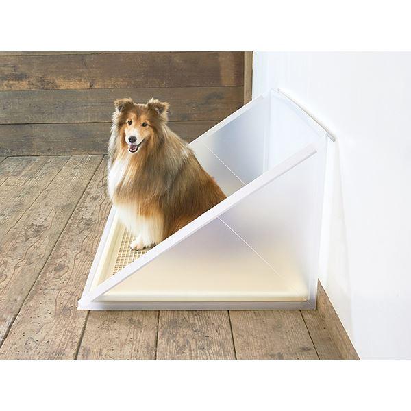 Forpetsonly⁄フォーペッツオンリー⁄Sサイズ 犬用品