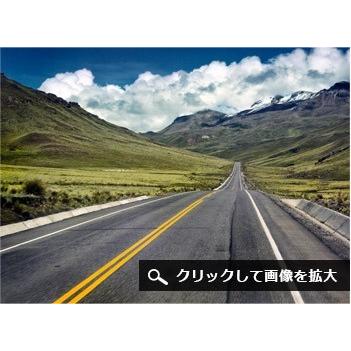 壁紙 輸入壁紙 Mr Perswall Adventure Mr リウォール リウォール 通販 輸入壁紙