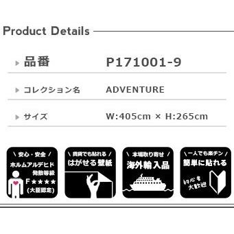 輸入壁紙 Adventurediy 工具 Adventure 輸入壁紙 壁紙 Mr Perswall Mr 通販 リウォール