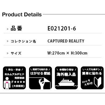 壁紙 輸入壁紙 Mr Perswall Captured Perswall Reality リウォール 通販 壁紙 壁紙