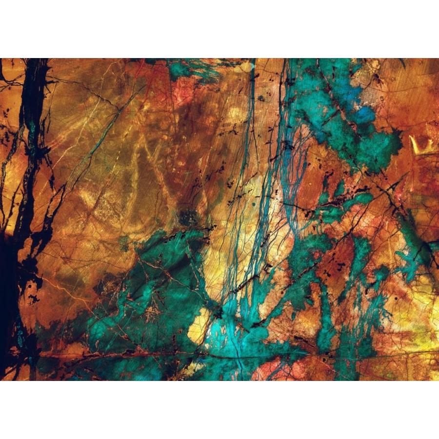 Mr リウォール 壁紙 通販 壁紙 壁紙 リウォール Perswall 輸入壁紙 Expressions