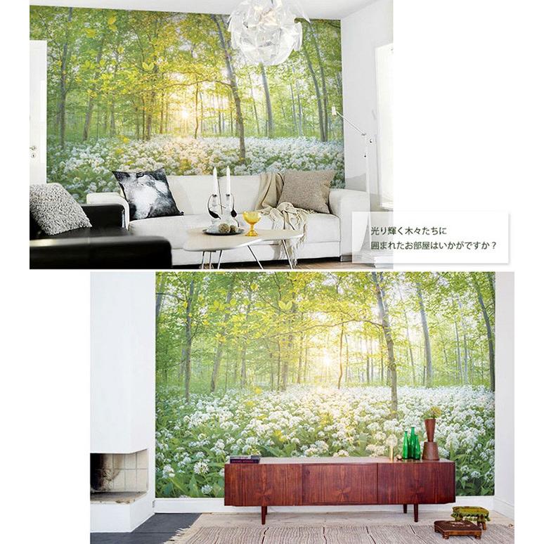 貼ってはがせる壁紙 フリース壁紙 日本製 Jebrille Wallpaper W368cmxH250cm パネル はがせる壁紙 DIY 壁紙 はがせる 賃貸 壁紙 森 森林 こもれび｜rewall｜03