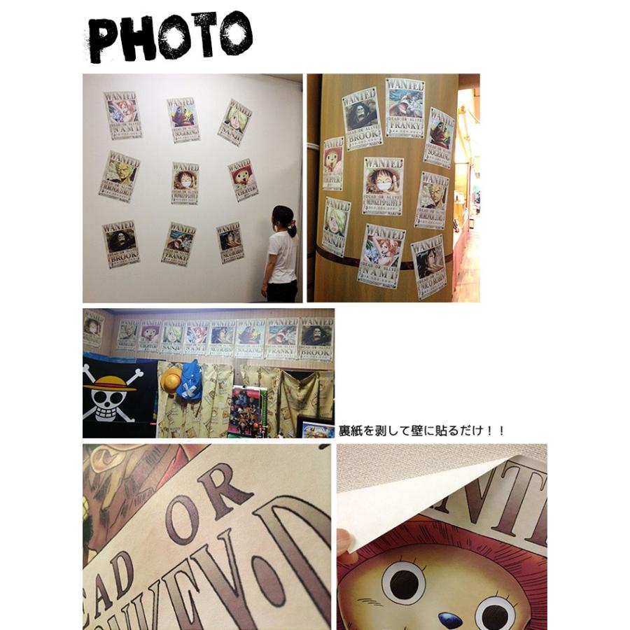 新鮮なシャンクス 壁紙 最高の花の画像