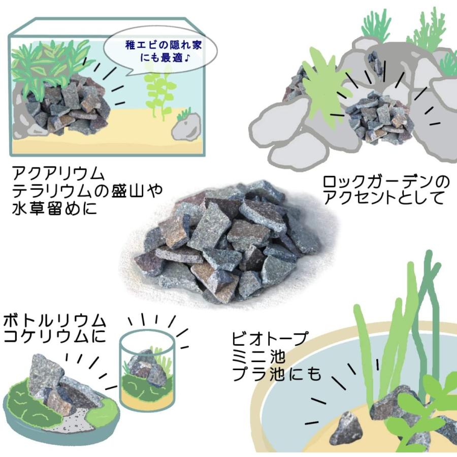 輝板石サイズss2kg入り国産品 水槽用 アクアリウム用 輝板石ss２kg Rexis 通販 Yahoo ショッピング