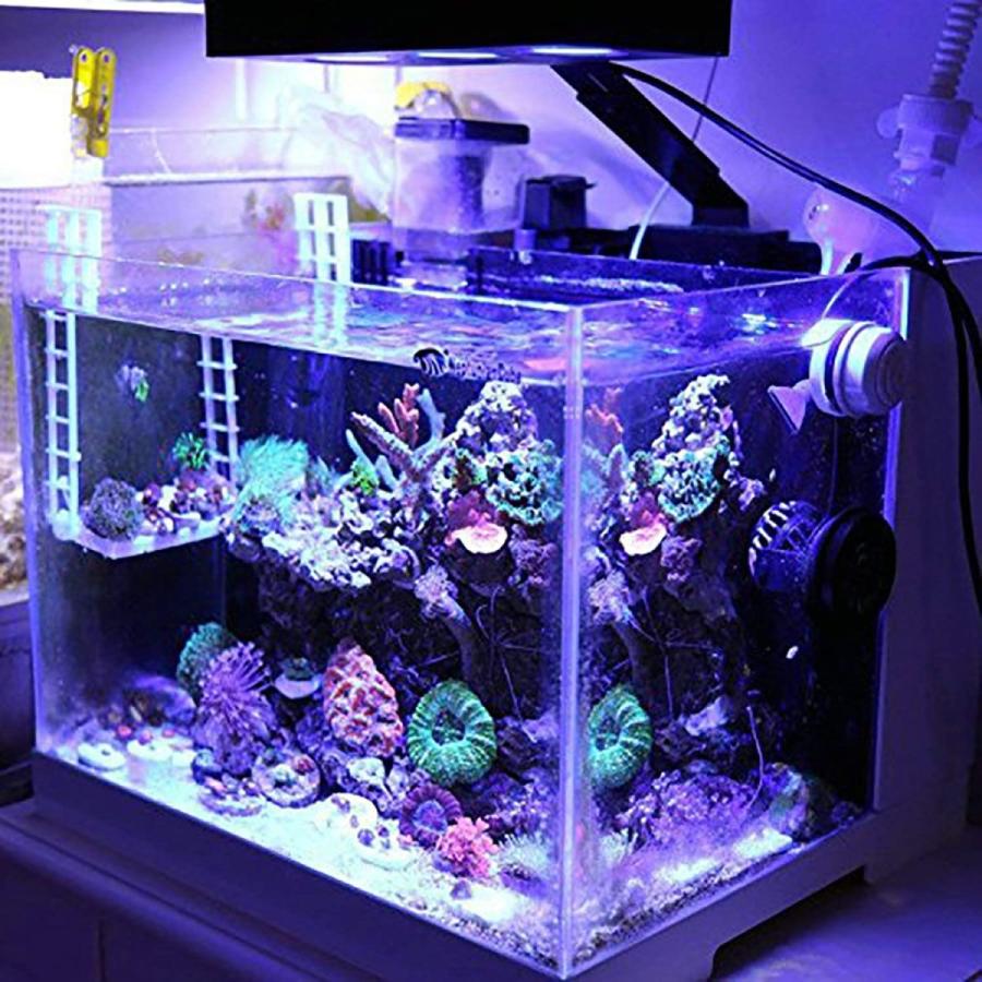 美しい Metis Led 水槽ライト アクアリウムライト 海水魚 サンゴ 海水槽 照明 調光 Led3個 高光度 長寿命 強力 水族館 組立簡単 送料無料 Zoetalentsolutions Com