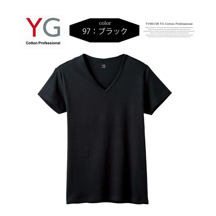 YG GUNZE グンゼ ワイジー Vネック 半袖Tシャツ 綿100％ 無地 コットン