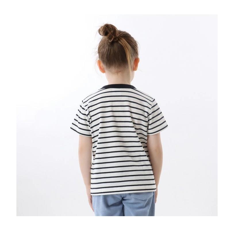 Champion（チャンピオン） キッズ ボーダー 半袖 Tシャツ 130cm 140cm