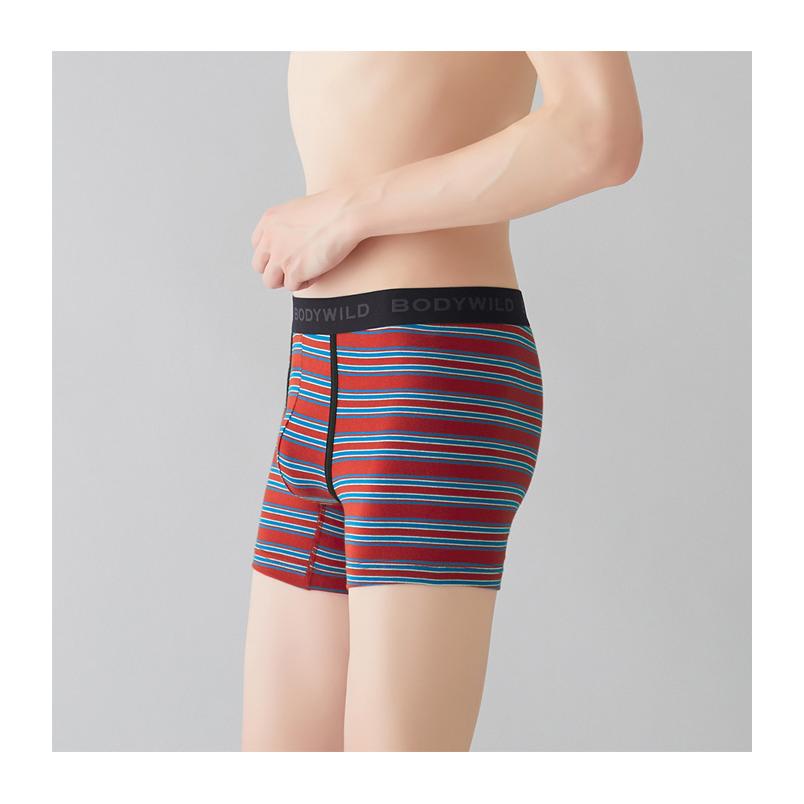 BODY WILD（ボディワイルド） GUNZE グンゼ ボクサーパンツ ボーダー柄