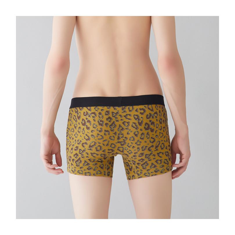 BODY WILD GUNZE グンゼ ボディワイルド ボクサーパンツ BODY WILD GUNZE グンゼ ボディワイルド ボクサーパンツ