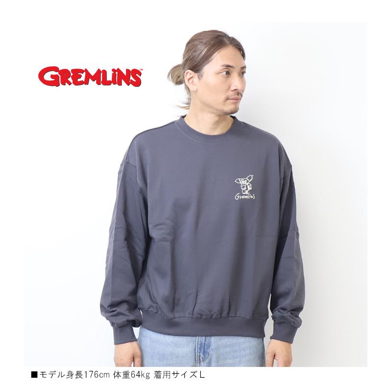 未開封　グレムリン　E 未開封GREMLINSグレムリン BENDABLE PETIT DOLL アーガイル