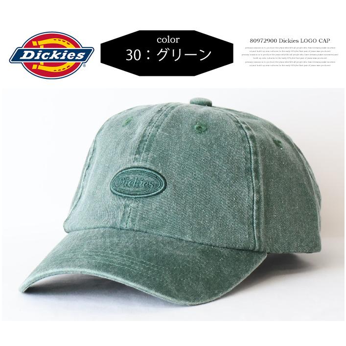 Dickies（ディッキーズ） ロゴ刺繍 ピグメント加工 ベースボール