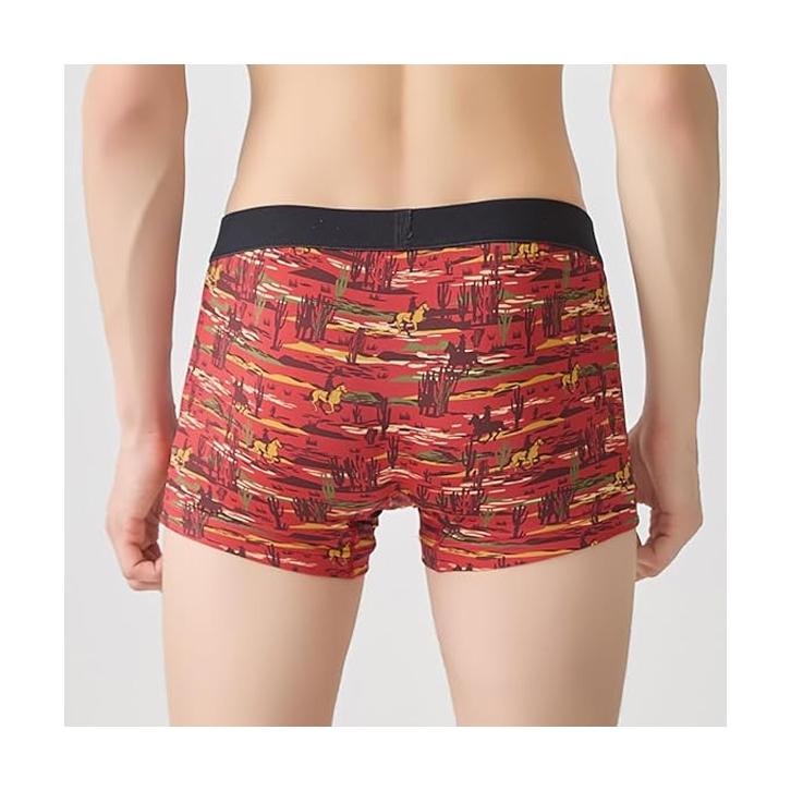 BODY WILD（ボディワイルド） GUNZE グンゼ ボクサーパンツ 前とじ