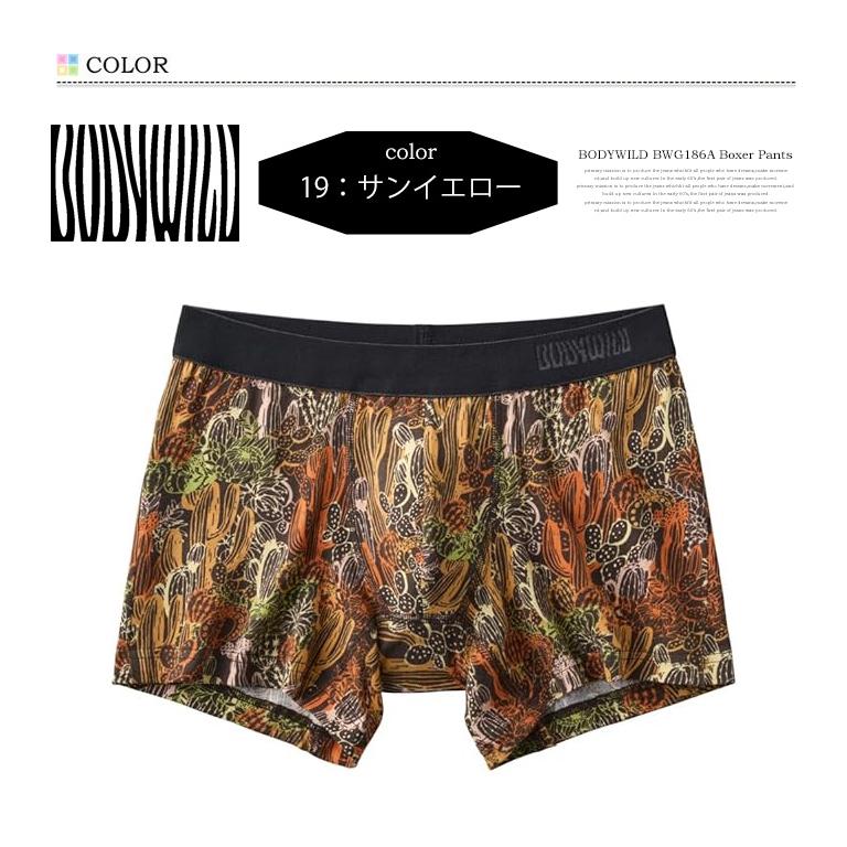 BODY WILD（ボディワイルド） GUNZE グンゼ ボクサーパンツ 総柄 前