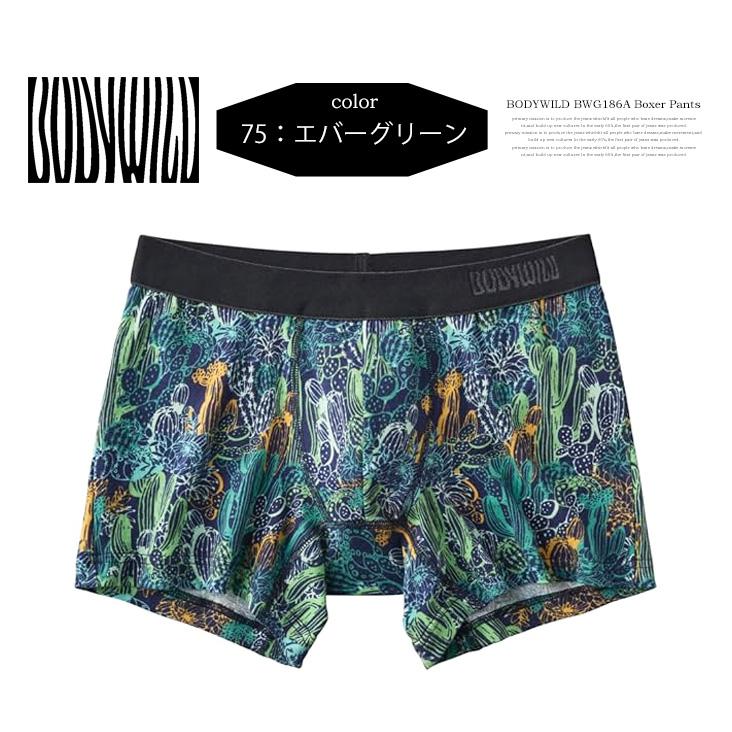 BODY WILD（ボディワイルド） GUNZE グンゼ ボクサーパンツ 総柄 前