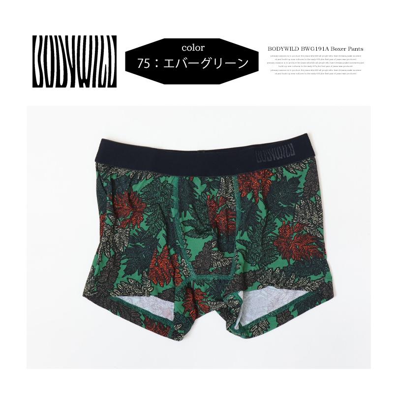 BODY WILD（ボディワイルド） GUNZE グンゼ ボクサーパンツ 前とじ 総