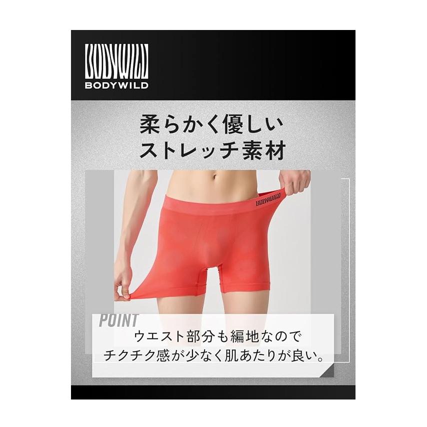BODY WILD（ボディワイルド） GUNZE グンゼ ボクサーパンツ 前とじ