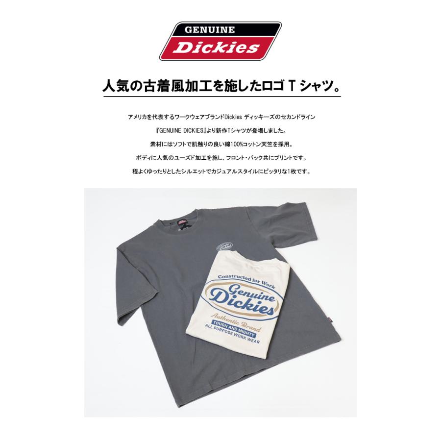 Dickies（ディッキーズ） GENUINE Dickies ジェニュイン ピグメント