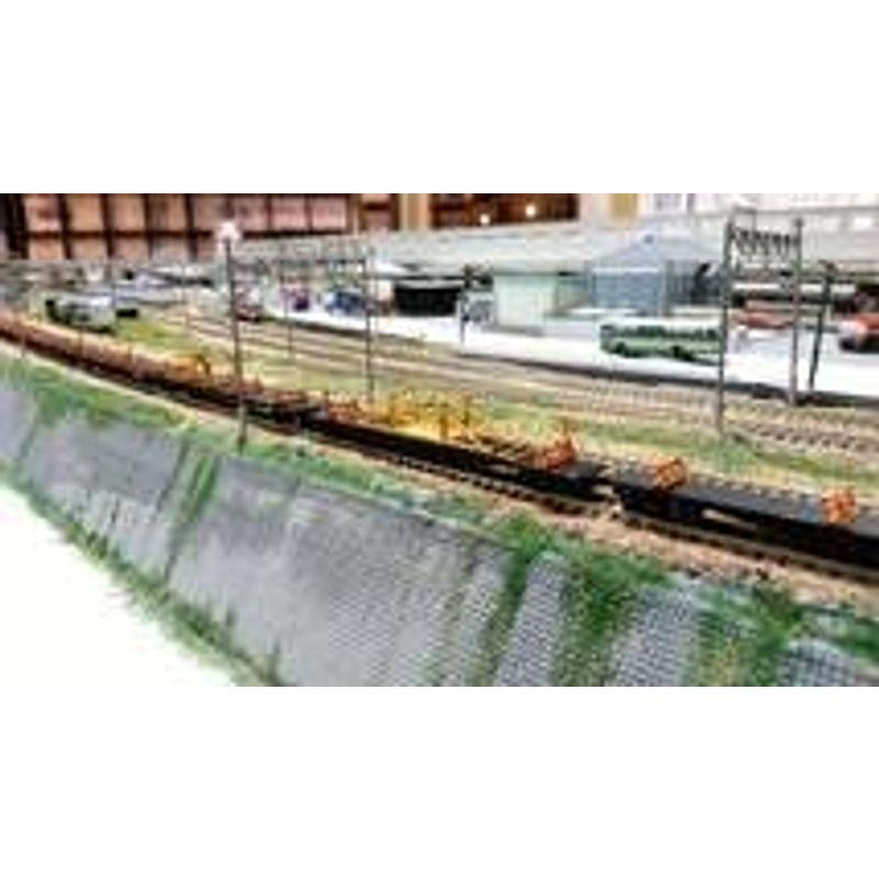 【早い者勝ち】 チキ5500 レール輸送車タイプB（関東・中部仕様B）10両セット Nゲージ 甲府モデル（パンケーキコンテナ） ロンチキ 【QGW6940492384】(25019円)