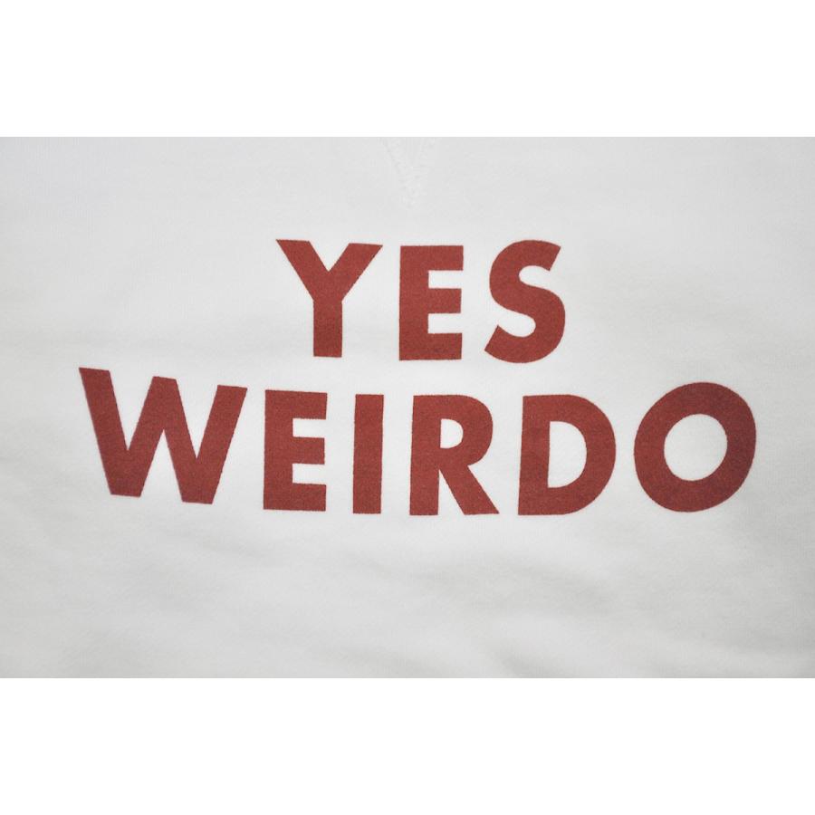 WEIRDO BICYCLE PLATES - SWEAT "AIR BRUSH" (F) ウィアード エアーブラシ スウェット/GLADHAND_4